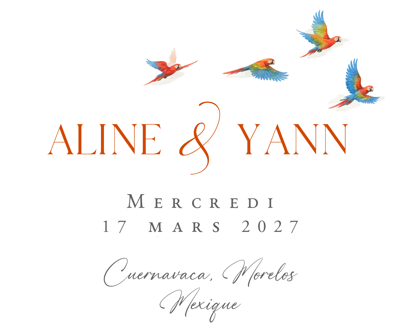 AYBannerfr